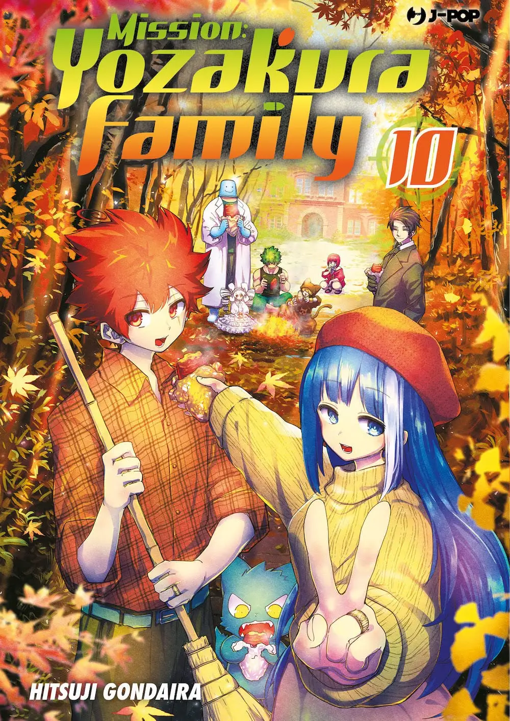 Volume cover